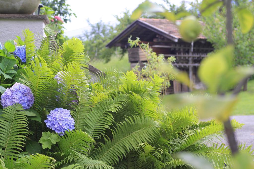 Apartments Gasserhof Lagundo Luaran gambar
